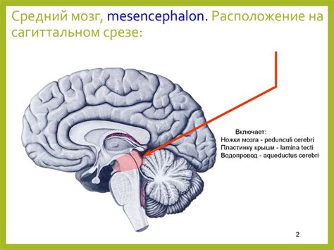 Вселенная - Mind Map