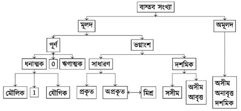 বাস্তব সংখ্যা কাকে বলে বাস্তব সংখ্যার শ্রেণিবিন্যাস ও বৈশিষ্ট্য পাঠগৃহ The Reading Room