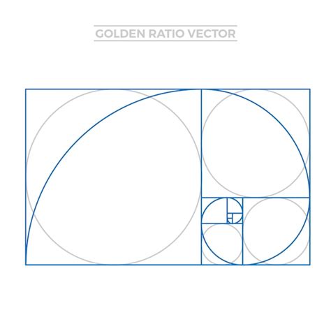 Golden Ratio Template Vector Free Download