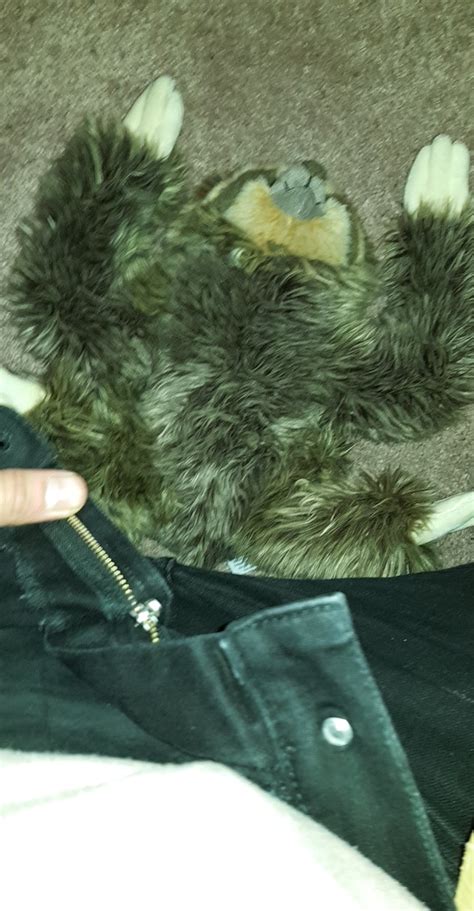 Cursed_sloth : r/Cursed_Images