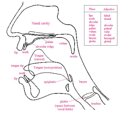 IPA Chart Taj Archive 11718 Hot Sex Picture