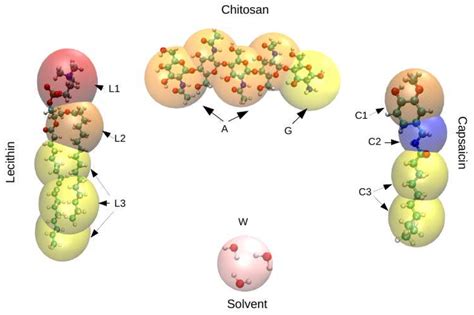 Schematic Representation Of The Coarse Grained Models Adopted In This Download Scientific