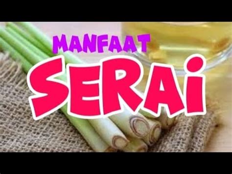 Manfaat Serai Bagi Kesehatan Dan Cara Mengolahnya YouTube