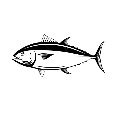 Bluefin Tuna Vector Hd Png Images Retro Style Illustration Of An Atlantic Bluefin Tuna Side