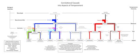 Interaction Between Neurotype And Temperament A Graphical Overview Of Correlational Cascade To