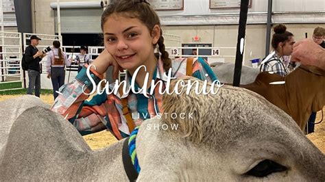 Our Crazy Experience At The San Antonio Livestock Show Cattle