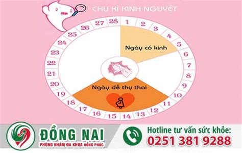 4 cách tính ngày rụng trứng để sinh con và người kinh nguyệt không đều