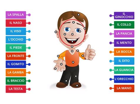 Riconosci Le Parti Del Corpo Umano Labelled Diagram