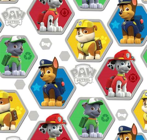 Paw Patrol Wallpapers 4k Hd Paw Patrol Backgrounds On Wallpaperbat