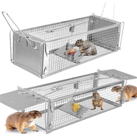 ATENGNES Humane Live Rat Trap Cage Dual Door Live Rat Traps Rodent ...