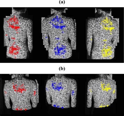 Digital Modeling In Biology Actual Vs Conceptual Intro To Digital