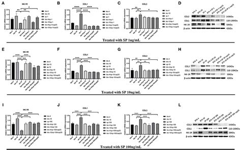 Frontiers Dramatic Effect Of Botulinum Toxin Type A On Hypertrophic