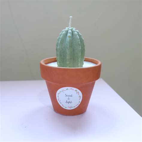 Cactus And Terrarium Candle Scent And Light Bridestory