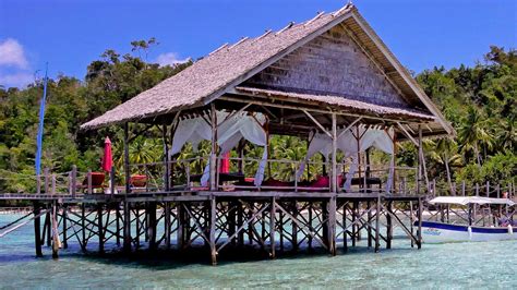 Papua Explorers Dive Resort Raja Ampat Reviews Specials Bluewater