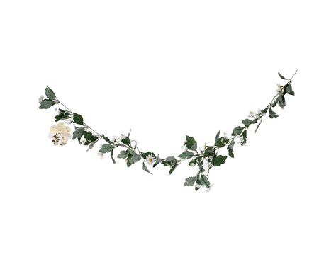 Bloemen Slinger Daisy 18m Partywinkel