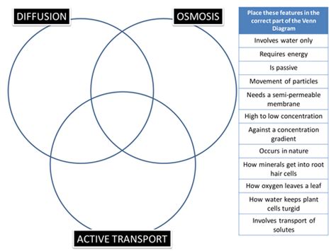 Diffusionosmosisactive Transport Venn Puzzle By Biogas66 Teaching Resources Tes