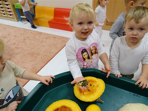 Poznajemy Rodzaje Dyni Gminny Obek W Kleszczowie