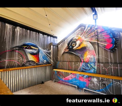 Mural Painting Professionals featurewalls.ie: STREET ART MURALS FOR ...