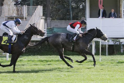 Sabato La Prima Della Stagione Di Galoppo Allippodromo Snai