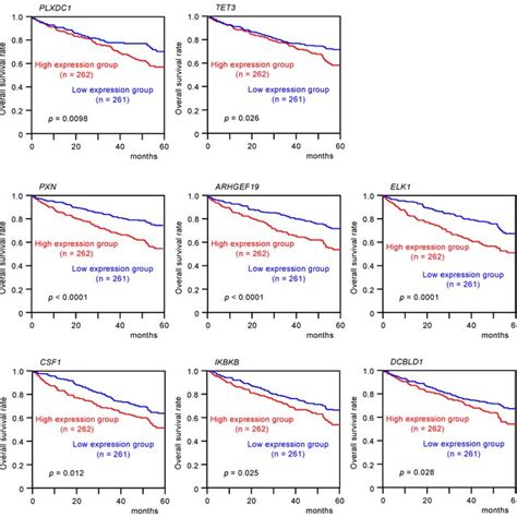 Clinical Significance Of Mir 139 5p Or Mir 139 3p Target Genes In