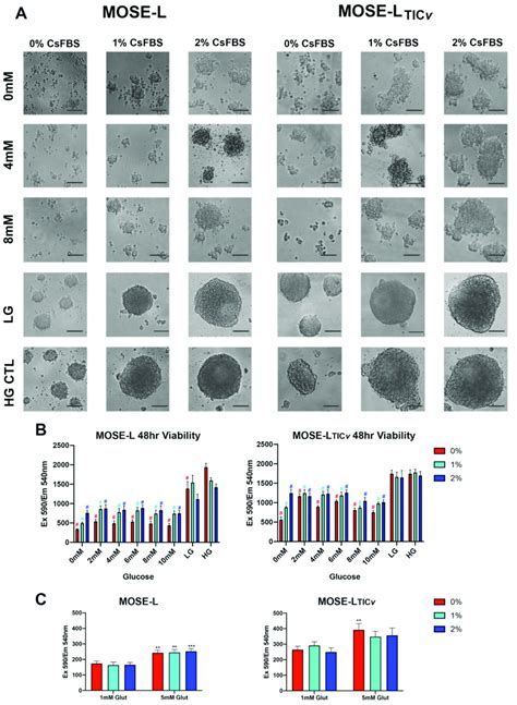 Spheroid Formation Capacity And Viability In Response To Glucose