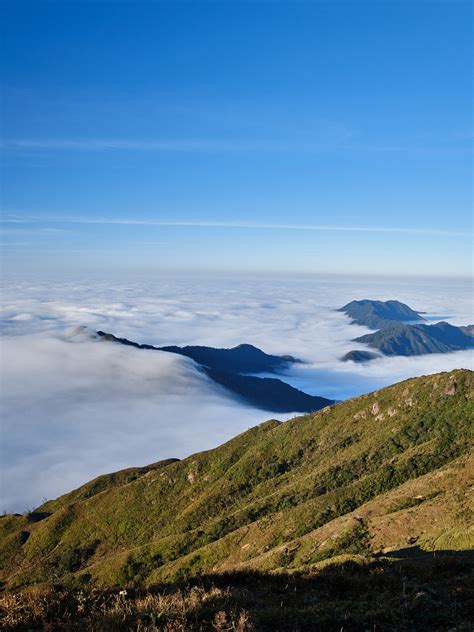 Gunung Pohon Hutan Foto Gratis Di Pixabay Pixabay