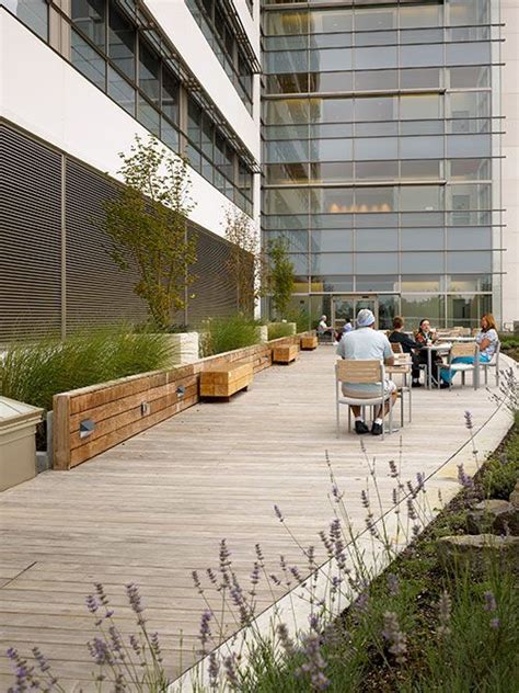 Southwest Washington Medical Center Roof Garden Terraced Landscaping