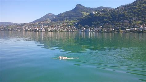 Make Sheridan Lake Geneva Swim — Lake Geneva Swimming Association