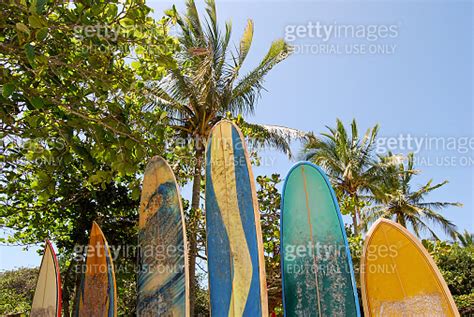 Surfboards at Praia Lopes Mendes beach Ilha Grande Island Brazil 이미지