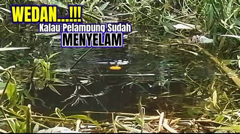 Yakin Siapa Pun Pasti Betah Mancing Di Sini Youtube