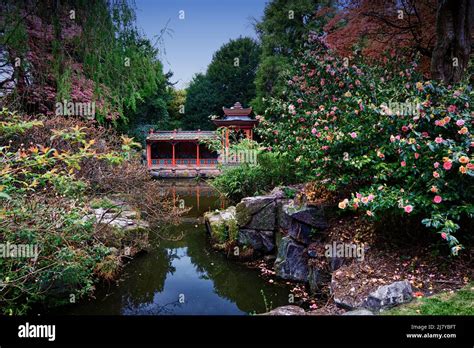 English Country Garden Stock Photo Alamy