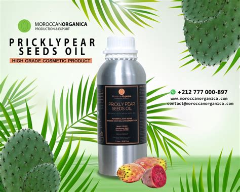 Organic Prickly Pear Seed Oil Wholesale Morocco Destockage Grossiste