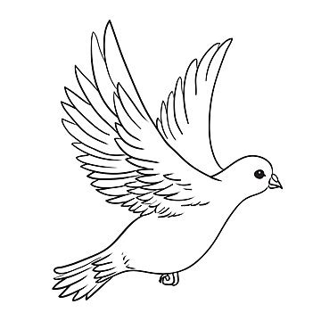 Dove Of Peace Carrying An Olive Branch In Flight With Lowered Wings