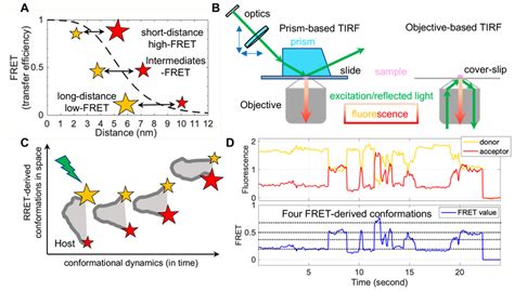 Single Molecule F Rster Resonance Energy Transfer Smfret Principle