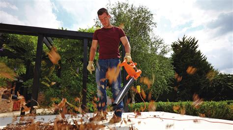 Landscape Maintenance 101: Power Through Big Leaf Cleanup with a Leaf ...