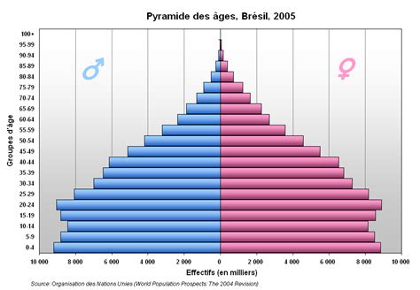 Démographie Du Brésil