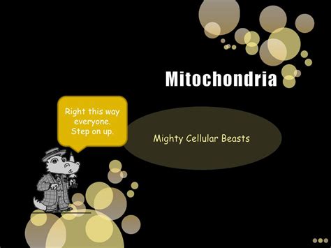 Ppt Mitochondria Powerpoint Presentation Free Download Id 2573764