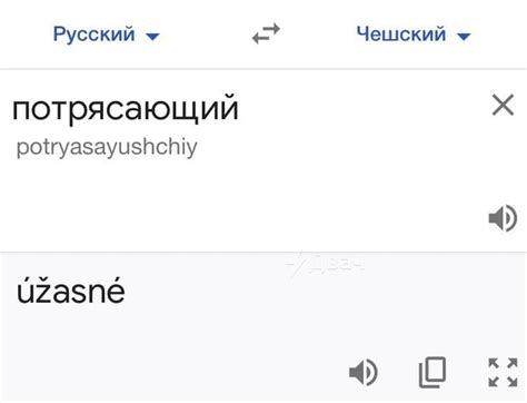 Краткий русско-чешский словарь