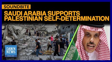 Saudi Arabia Supports Palestinian Self Determination Ecfr Dawn News