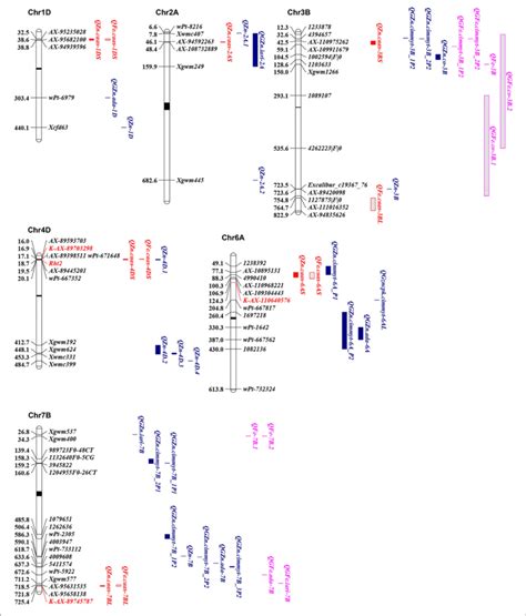 Physical Maps For The Positional Comparisons Of Gzn And Gfe Qtl