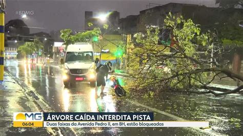 V Deo Rvore Ca Da Provoca Transtornos Na Avenida Pedro Ii Em Bh