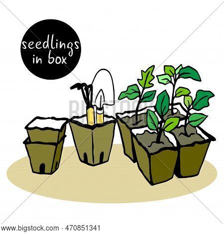 Seeds Stored Peat Vector & Photo (Free Trial) | Bigstock