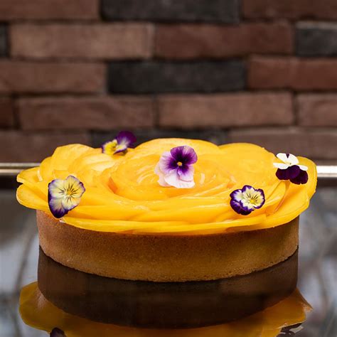 de mouton production  linkedin photography demoutonproduction