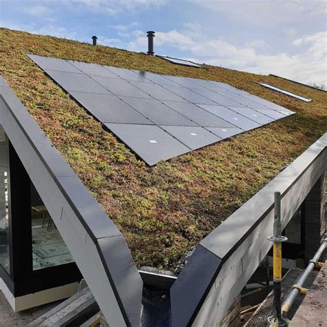 Groendak Met Zonnepanelen Groendak Uw Keuken Nl