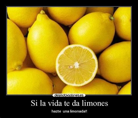 Si La Vida Te Da Limones Desmotivaciones