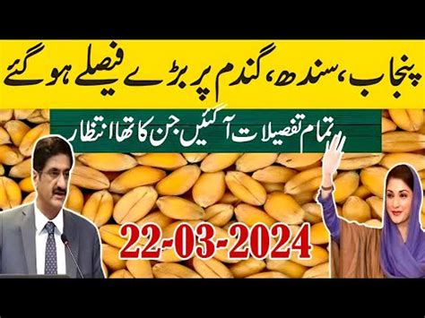 Wheat Price Update Wheat Rate Update Gandam Ki Nai Kimat Wheat