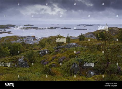 Norwegian Landscapes On A Cloudy Rainy Day Averoy Northern Atlantic