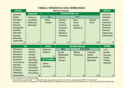 Herbicidas Crit Rios Para Classifica O Agroadvance