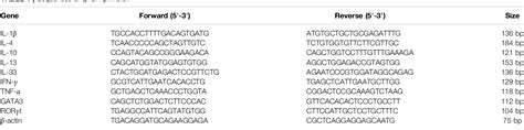 Table 1 From Huangbai Liniment Ameliorates Skin Inflammation In Atopic