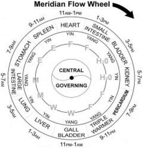 Meridian Wheel Energy Medicine Traditional Chinese Medicine Chinese